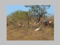 DSCN7428.JPG